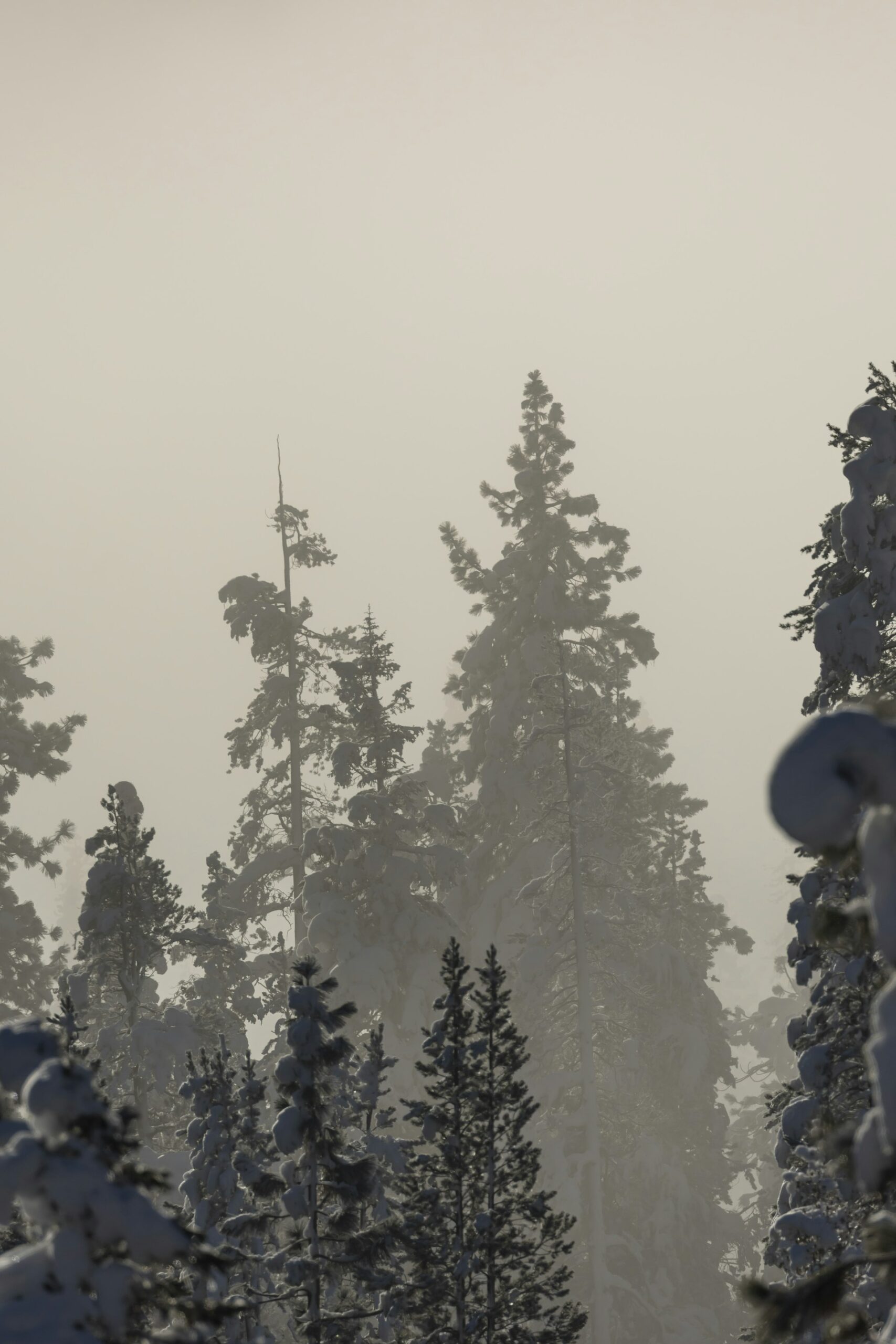 How Dynamic Weather Systems Transform Open-World Gaming: Immersion, Challenge, and Opportunity