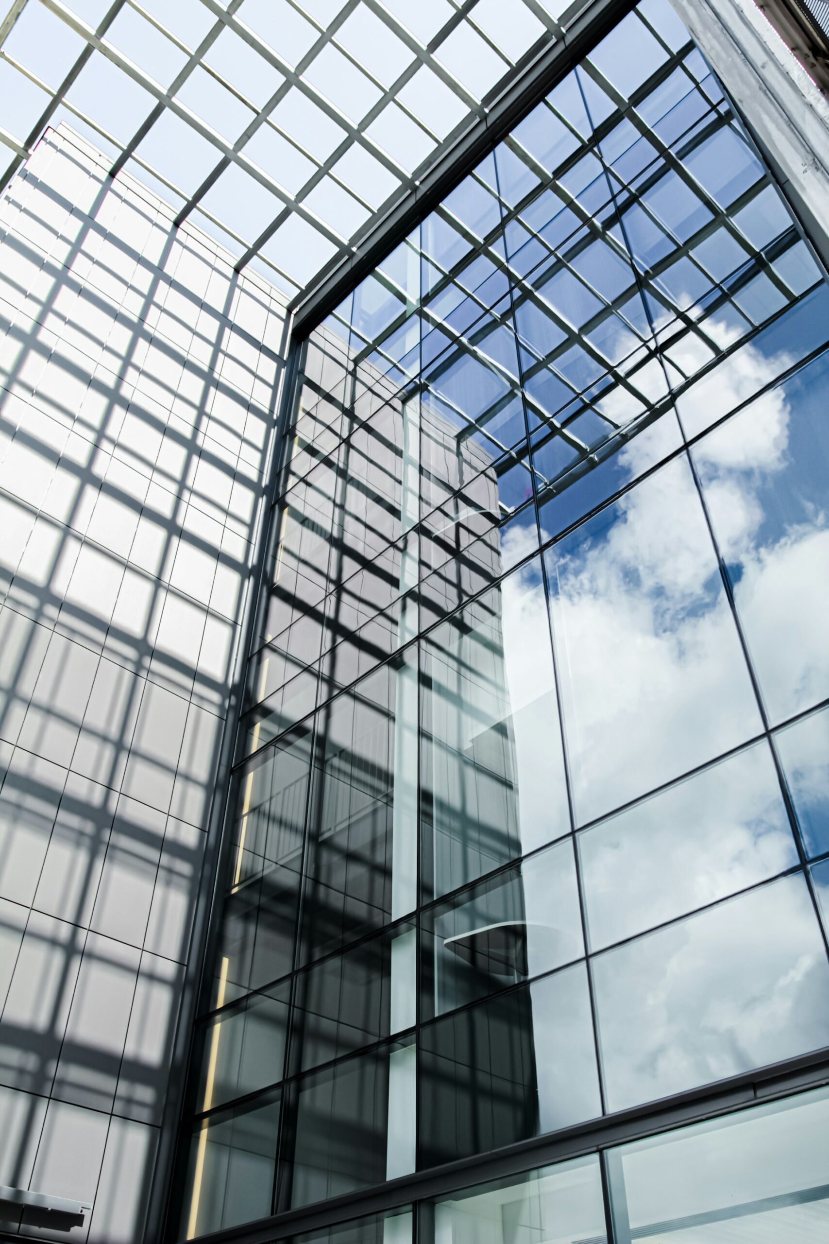 How Transparency in Business Practices Builds Trust, Drives Success, and Fuels Sustainable Growth