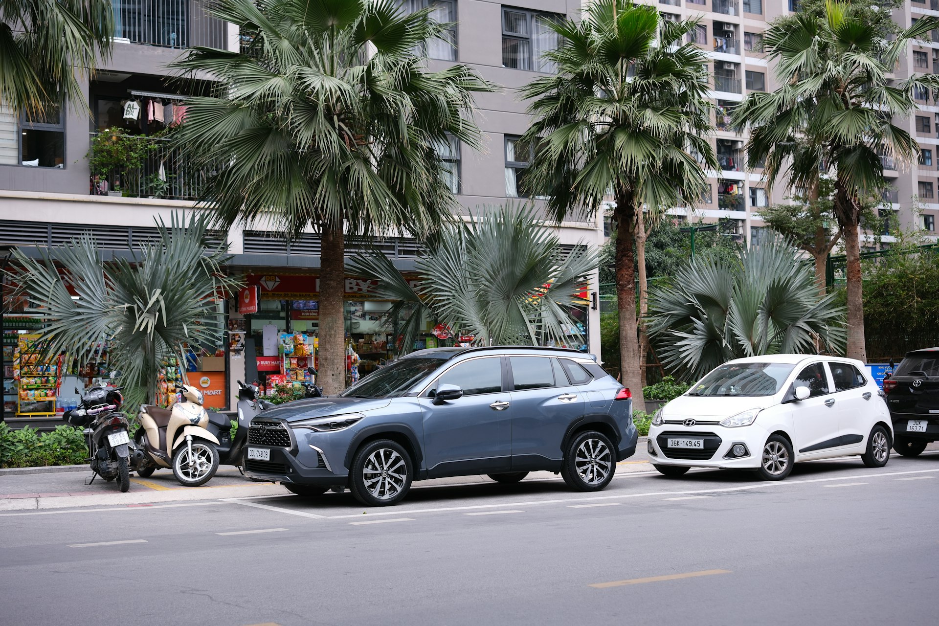 Driving the Future: The Ascendancy of Chinese Electric Vehicle Manufacturers