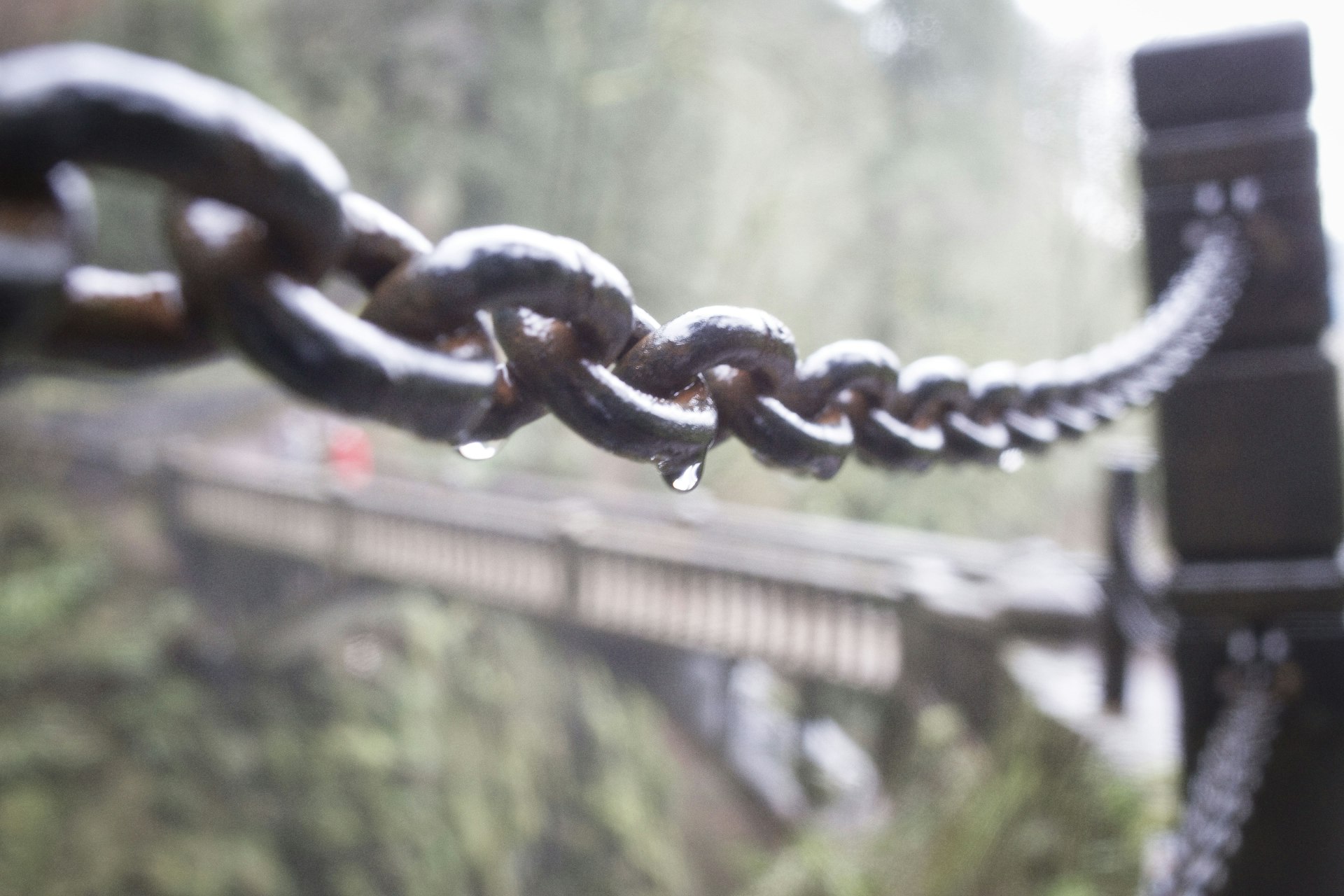 Blockchain Revolutionizes Intellectual Property Protection: Secure, Transparent, and Efficient Solutions for Creators